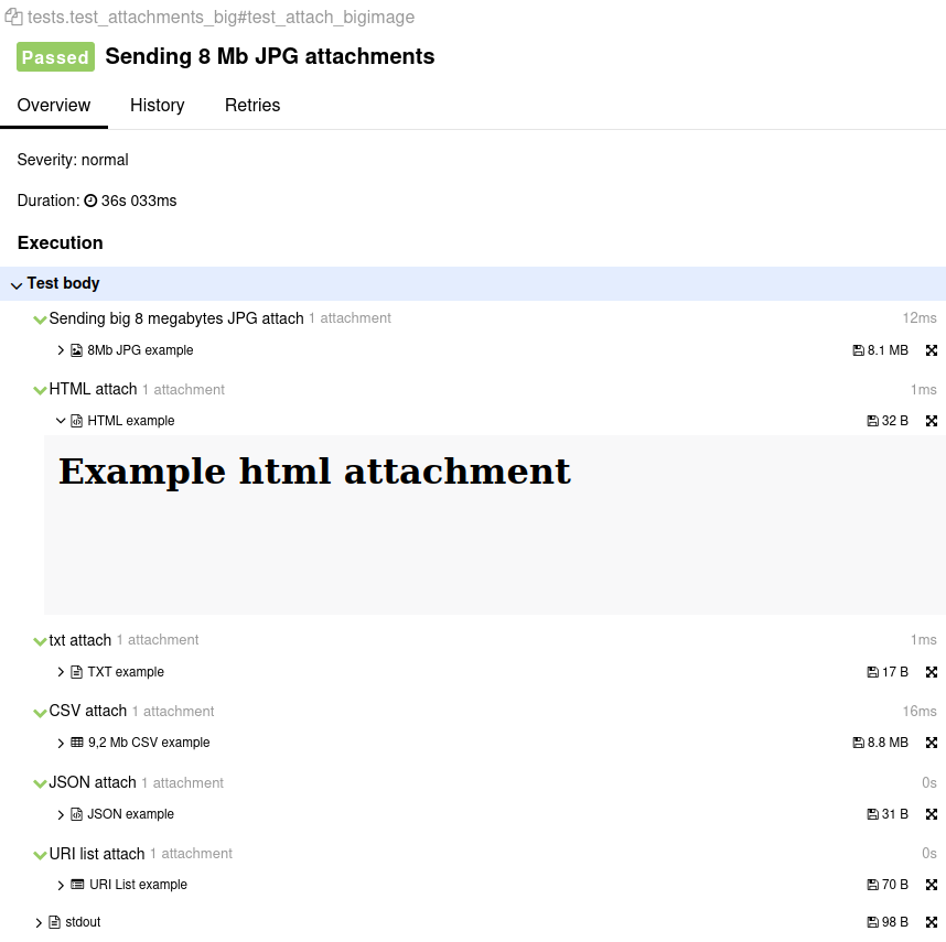 Attachments in Allure Report